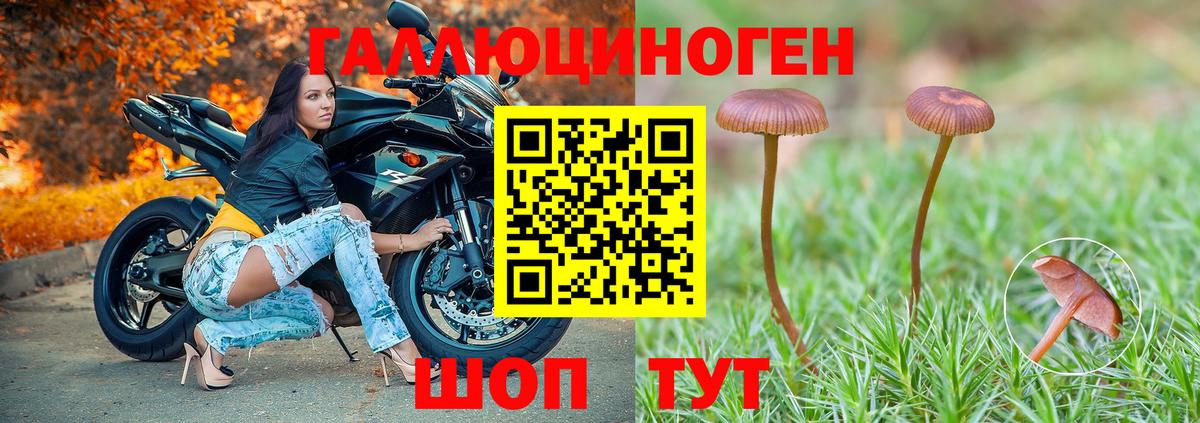 Камышин  Псилоцибиновые грибы GOLDEN TEACHER  Вход с VPN 