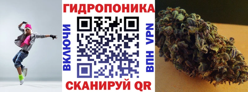 Конопля OG Kush  Камышин 